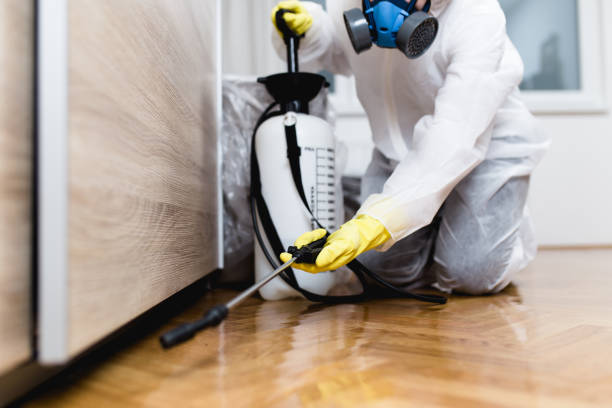 Professional Pest Control in Vernon Hills, IL