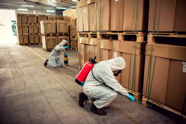 Pest Control for Restaurants in Vernon Hills, IL