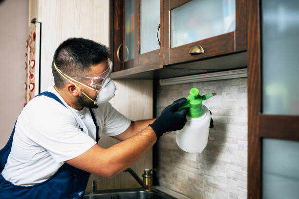 Best Commercial Pest Control Services  in Vernon Hls, IL
