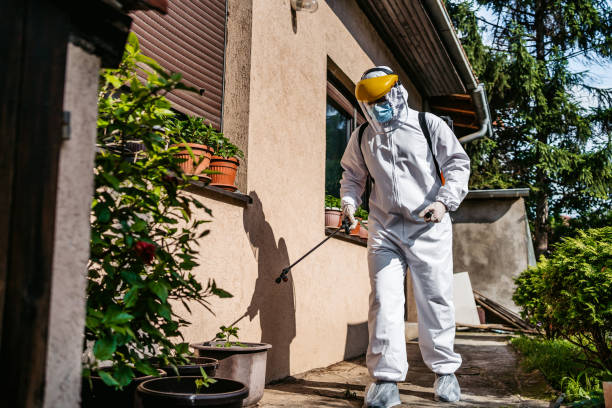 Best Wasp Removal Services  in Vernon Hls, IL