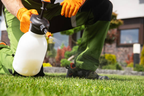 Bird Control in Vernon Hills, IL