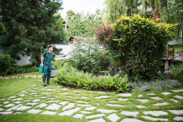 Best Affordable Pest Control Services  in Vernon Hls, IL