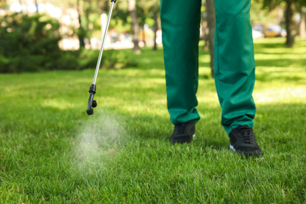 Best Mosquito Control Services  in Vernon Hls, IL