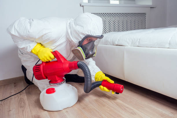 Best Termite Control Services  in Vernon Hls, IL