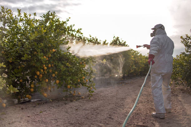Best Residential Pest Control  in Vernon Hls, IL