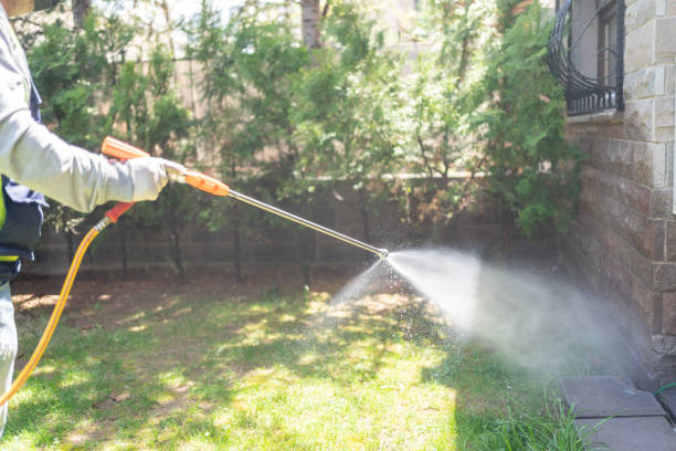 Best Bird Control  in Vernon Hls, IL
