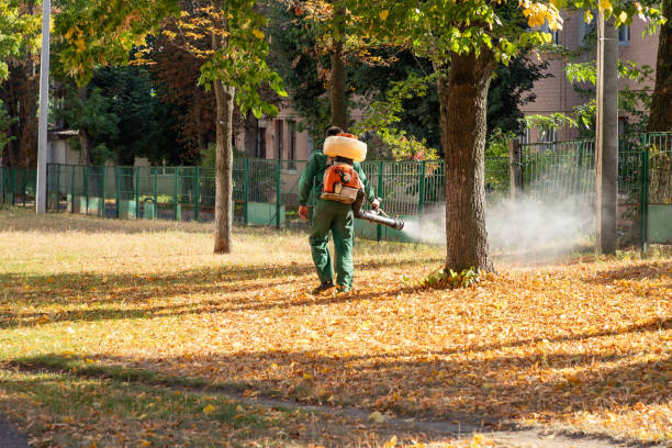 Best Pest Control Near Me  in Vernon Hls, IL