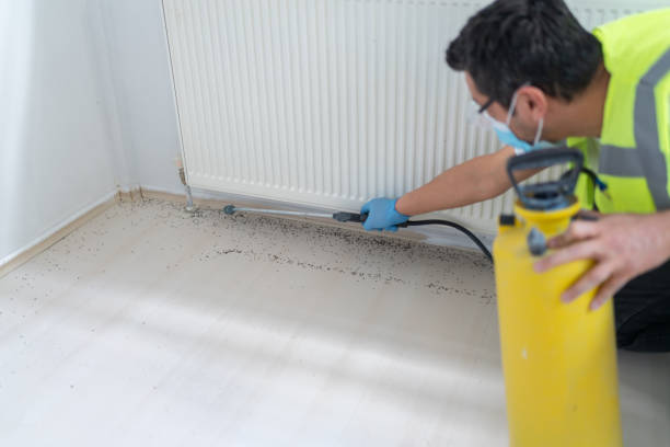 Best Best Pest Control Near Me  in Vernon Hls, IL